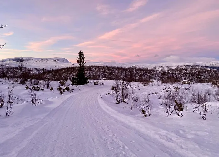 Hakkesetstolen Fjellstugu Hotel