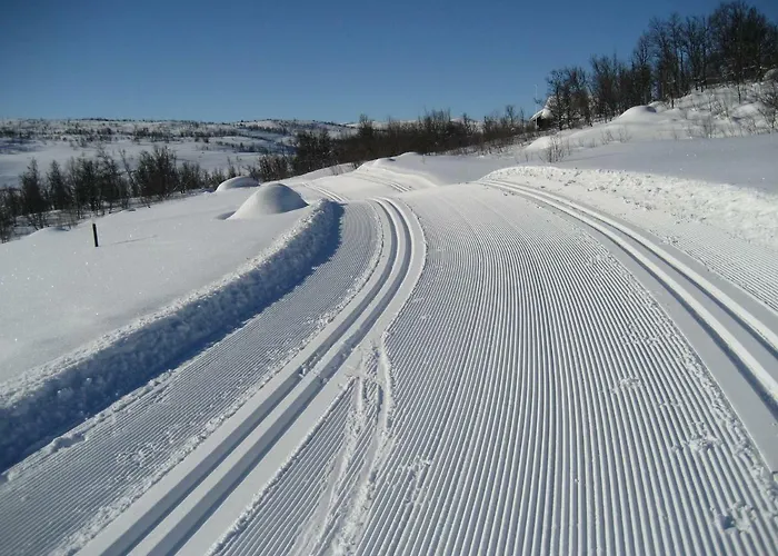 Hakkesetstolen Fjellstugu Hotel Geilo