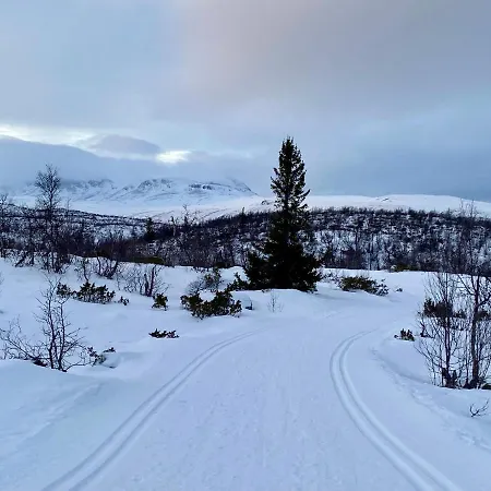 Hakkesetstolen Fjellstugu Гейло