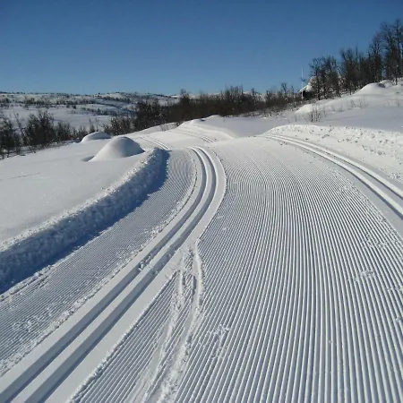 Hakkesetstolen Fjellstugu Отель Гейло