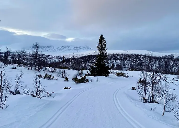 Hakkesetstolen Fjellstugu Гейло