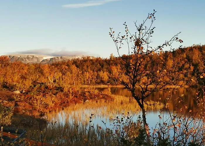 Отель Hakkesetstolen Fjellstugu *